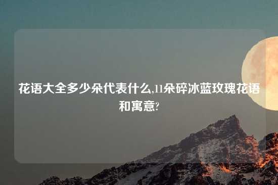 花语大全多少朵代表什么,11朵碎冰蓝玫瑰花语和寓意?