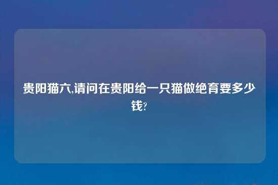 贵阳猫六,请问在贵阳给一只猫做绝育要多少钱?