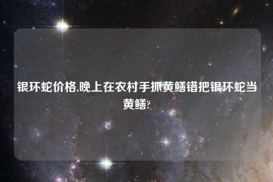 银环蛇价格,晚上在农村手抓黄鳝错把银环蛇当黄鳝?