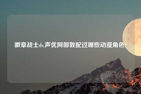 徽章战士ds,声优阿部敦配过哪些动漫角色?