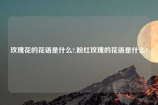 玫瑰花的花语是什么?,粉红玫瑰的花语是什么?