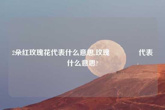 2朵红玫瑰花代表什么意思,玫瑰🌹代表什么意思?
