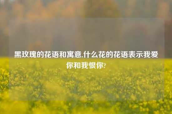 黑玫瑰的花语和寓意,什么花的花语表示我爱你和我恨你?
