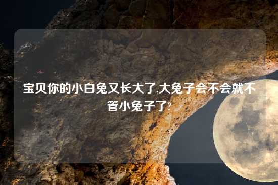 宝贝你的小白兔又长大了,大兔子会不会就不管小兔子了?