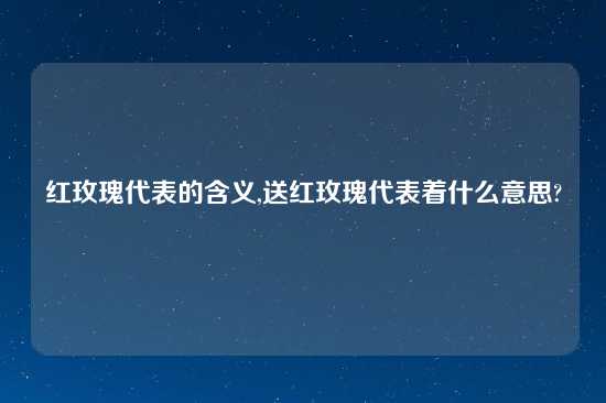 红玫瑰代表的含义,送红玫瑰代表着什么意思?