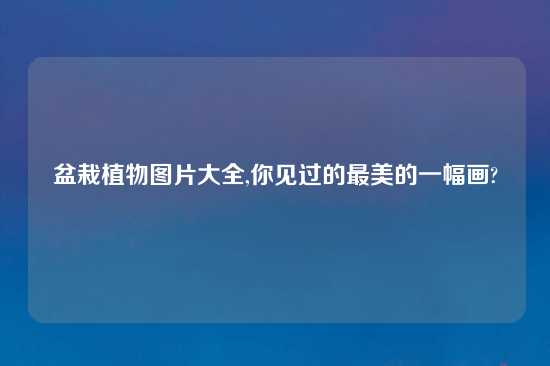 盆栽植物图片大全,你见过的最美的一幅画?
