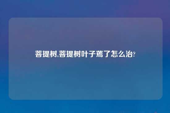 菩提树,菩提树叶子蔫了怎么治?
