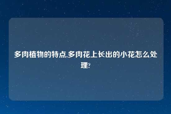 多肉植物的特点,多肉花上长出的小花怎么处理?