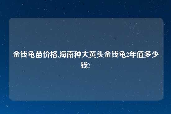 金钱龟苗价格,海南种大黄头金钱龟2年值多少钱?