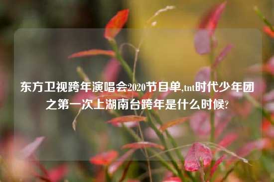 东方卫视跨年演唱会2020节目单,tnt时代少年团之第一次上湖南台跨年是什么时候?