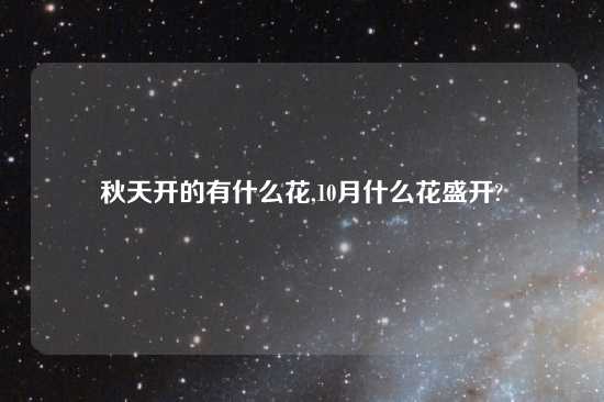 秋天开的有什么花,10月什么花盛开?