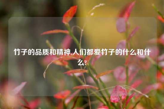 竹子的品质和精神,人们都爱竹子的什么和什么?