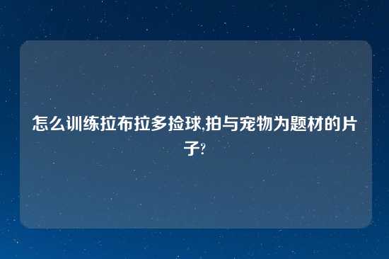 怎么训练拉布拉多捡球,拍与宠物为题材的片子?