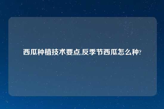 西瓜种植技术要点,反季节西瓜怎么种?