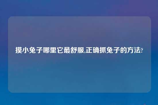 摸小兔子哪里它最舒服,正确抓兔子的方法?