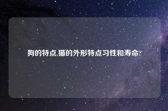 狗的特点,猫的外形特点习性和寿命?