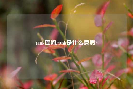 rank查询,rank是什么意思?