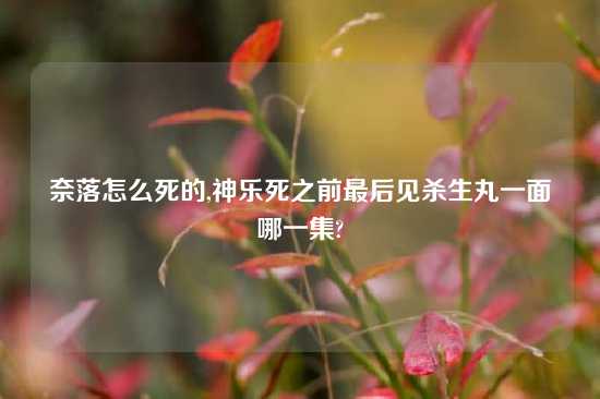 奈落怎么死的,神乐死之前最后见杀生丸一面哪一集?