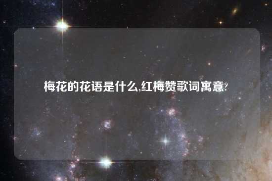 梅花的花语是什么,红梅赞歌词寓意?