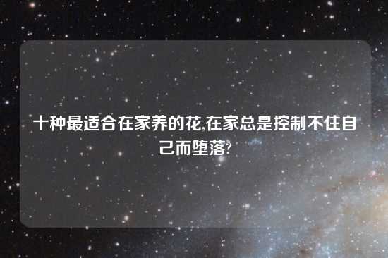 十种最适合在家养的花,在家总是控制不住自己而堕落?