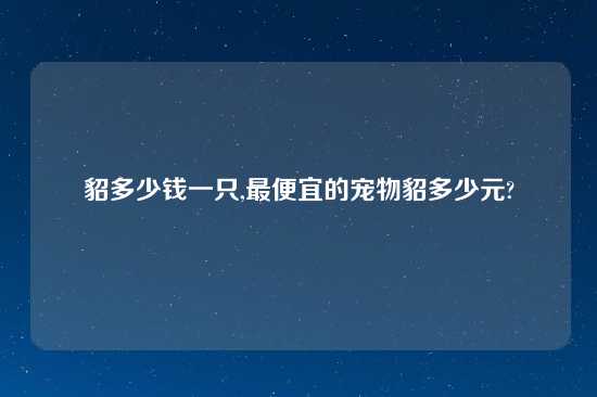 貂多少钱一只,最便宜的宠物貂多少元?