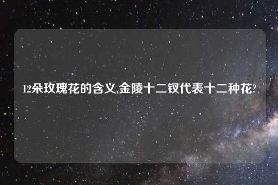 12朵玫瑰花的含义,金陵十二钗代表十二种花?