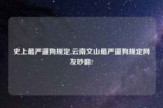 史上最严遛狗规定,云南文山最严遛狗规定网友吵翻?