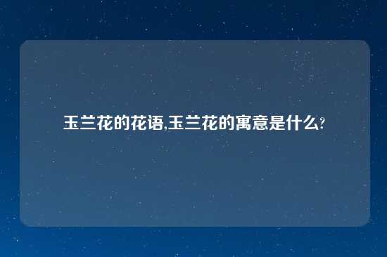 玉兰花的花语,玉兰花的寓意是什么?