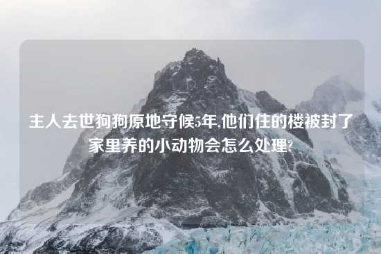 主人去世狗狗原地守候5年,他们住的楼被封了家里养的小动物会怎么处理?