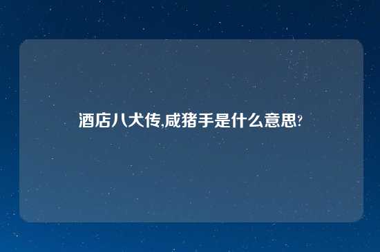酒店八犬传,咸猪手是什么意思?