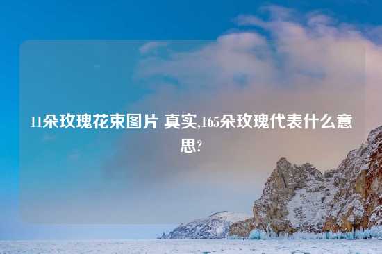 11朵玫瑰花束图片 真实,165朵玫瑰代表什么意思?