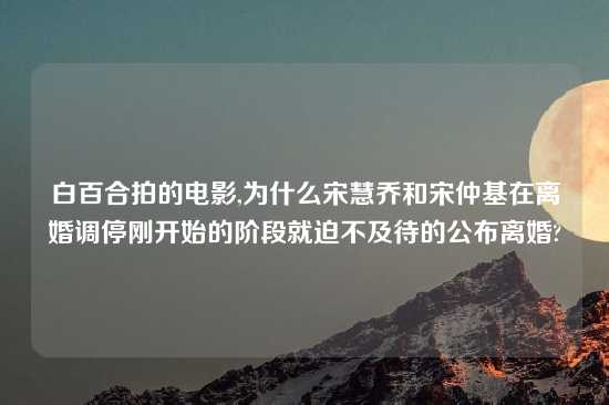 白百合拍的电影,为什么宋慧乔和宋仲基在离婚调停刚开始的阶段就迫不及待的公布离婚?