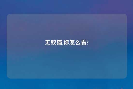 无双猫,你怎么看?