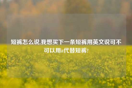短裤怎么说,我想买下一条短裤用英文说可不可以用it代替短裤?