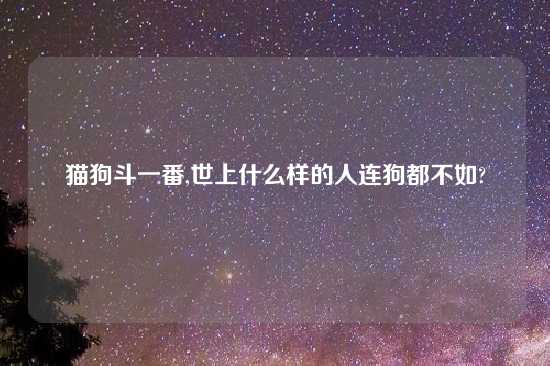 猫狗斗一番,世上什么样的人连狗都不如?