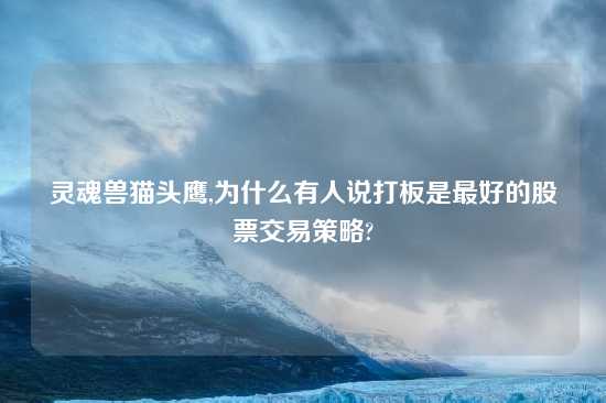 灵魂兽猫头鹰,为什么有人说打板是最好的股票交易策略?