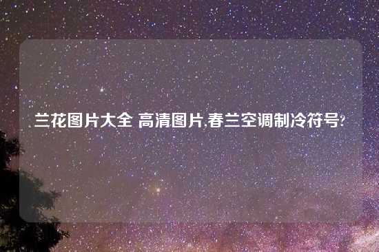 兰花图片大全 高清图片,春兰空调制冷符号?