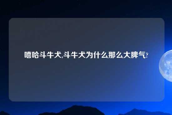 嘻哈斗牛犬,斗牛犬为什么那么大脾气?