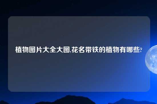 植物图片大全大图,花名带铁的植物有哪些?