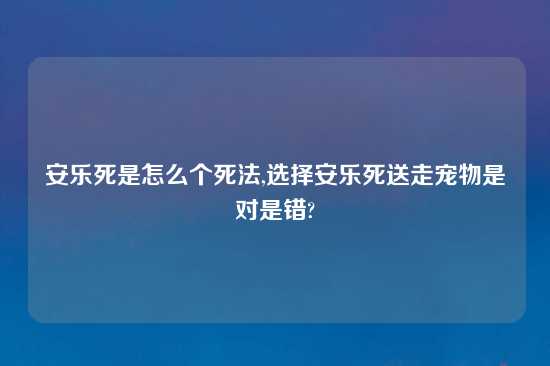 安乐死是怎么个死法,选择安乐死送走宠物是对是错?