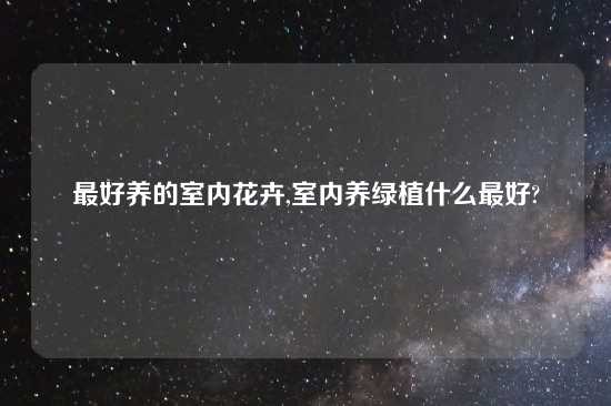 最好养的室内花卉,室内养绿植什么最好?