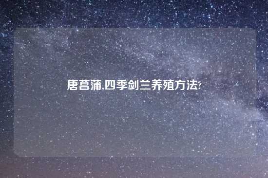 唐菖蒲,四季剑兰养殖方法?
