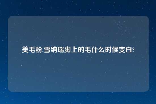 美毛粉,雪纳瑞脚上的毛什么时候变白?