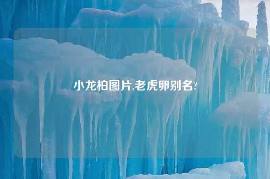 小龙柏图片,老虎卵别名?