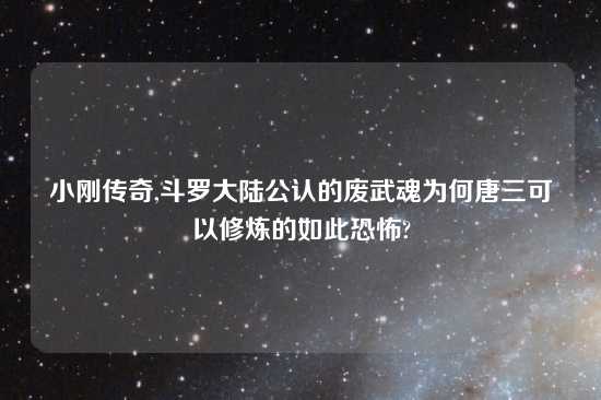 小刚传奇,斗罗大陆公认的废武魂为何唐三可以修炼的如此恐怖?