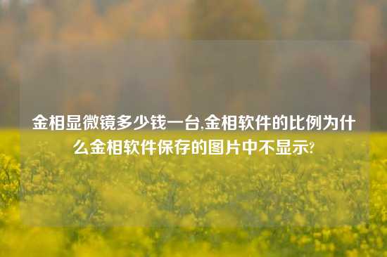 金相显微镜多少钱一台,金相软件的比例为什么金相软件保存的图片中不显示?