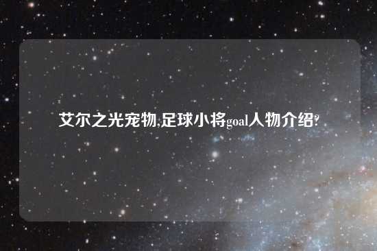 艾尔之光宠物,足球小将goal人物介绍?