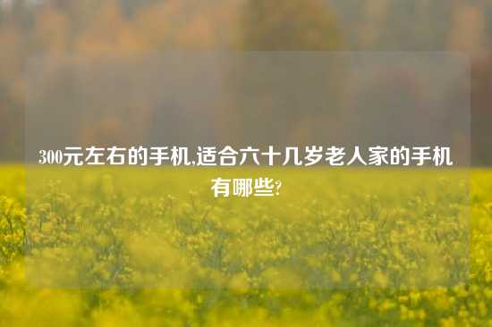 300元左右的手机,适合六十几岁老人家的手机有哪些?