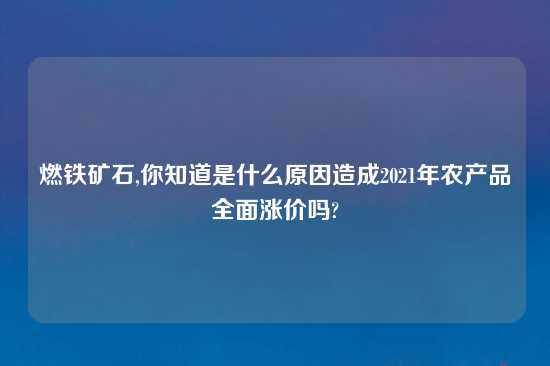 燃铁矿石,你知道是什么原因造成2021年农产品全面涨价吗?