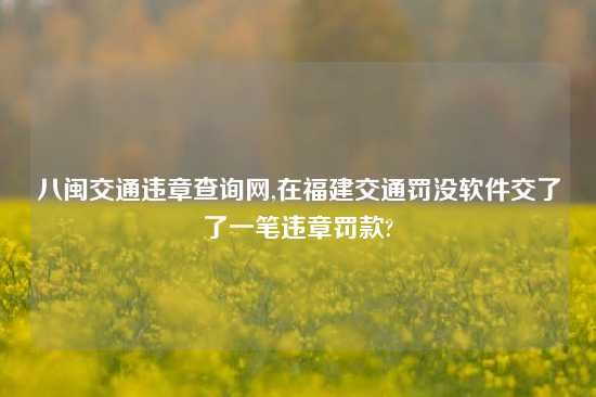 八闽交通违章查询网,在福建交通罚没软件交了了一笔违章罚款?